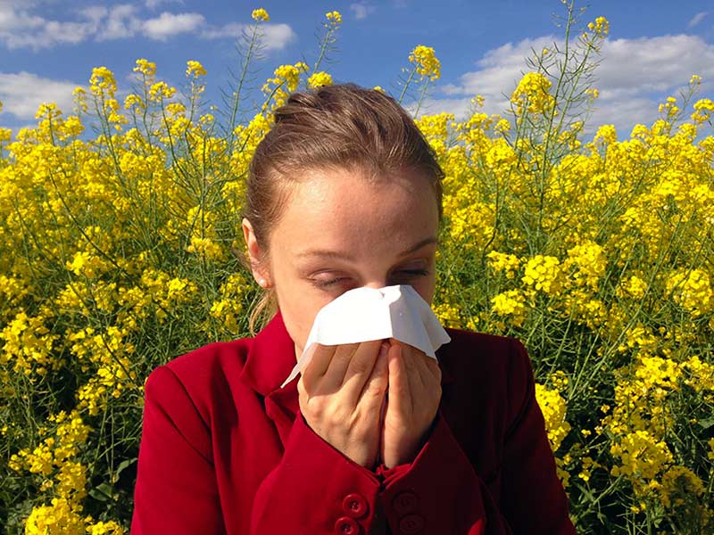 The Connection Between Allergies and Hearing Loss