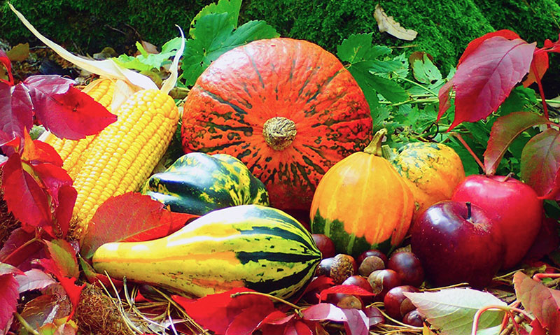 Top Healthy Fall Foods for Hearing Health