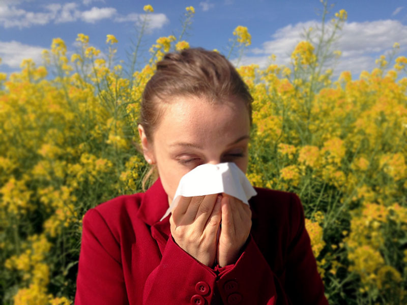 The Link Between Allergies and Hearing: Can My Allergies Cause Hearing Loss?