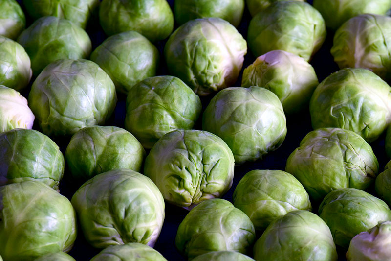 Brussels Sprouts Pomegranate Recipe